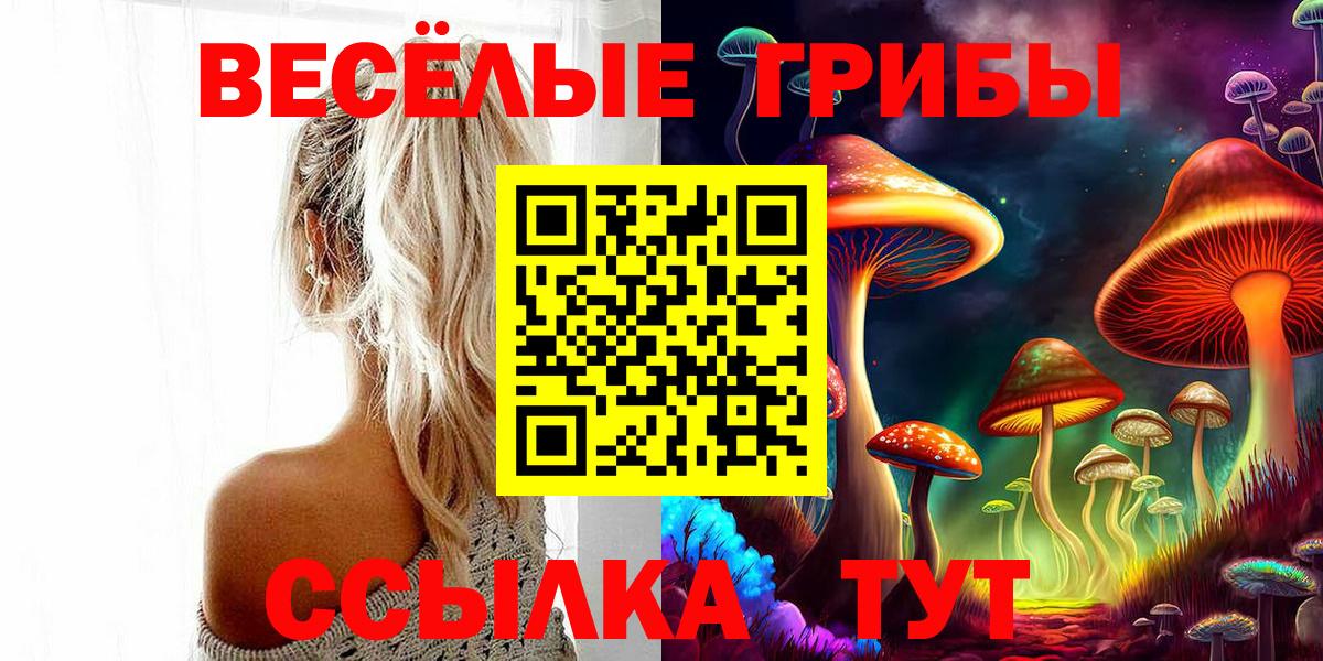 Псилоцибиновые грибы Cubensis  Вход с VPN  Апрелевка  Псилоцибиновые грибы Cubensis 